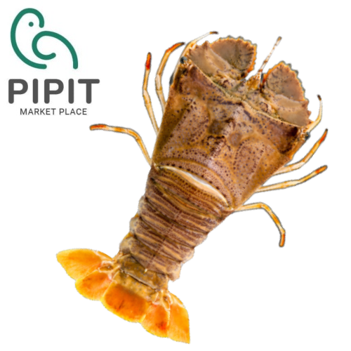 Lobster Tail Supplier in Dubai, UAE | Sidco Foods | Buy Lobster Tail Online