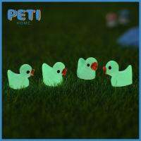 PETIHOME 30Pcs งานฝีมือเรซิน รูปแกะสลักรูปเป็ดเรืองแสง เครื่องประดับสำหรับรถยนต์ ที่ส่องสว่างส่องสว่าง อุปกรณ์เสริมภูมิทัศน์ขนาดเล็ก ความคิดริเริ่มสร้างสรรค์ ขนาดเล็กมากๆ ตกแต่งสวนนางฟ้า ของขวัญที่ดีที่สุด