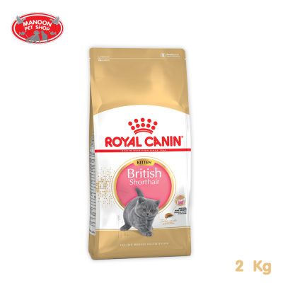 [MANOON] ROYAL CANIN British Shorthair Kitten 2kg สำหรับลูกแมวพันธุ์ บริติช ชอร์ทแฮร์ อายุต่ำกว่า 12 เดือน