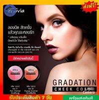 [ส่งฟรี] กิฟฟารีน อินโนเวีย เกรเดชั่น ชีค คัลเลอร์ Giffarine Innovia Gradation Cheek Color