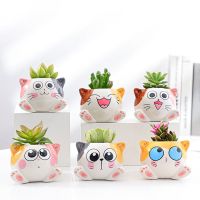 【CC】 Garden Decoration Succulent Pot Cartoon Miniature Office Potted