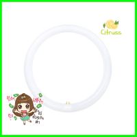 หลอด LED TOSHIBA MAGNETIC CIRCULAR 20 วัตต์ DAYLIGHT G10qLED CIRCULAR LAMP TOSHIBA MAGNETIC CIRCULAR 20W DAYLIGHT G10q **ใครยังไม่ลอง ถือว่าพลาดมาก**