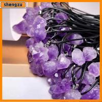 SHENGZU 10pcs รูปร่างไม่ปกติ จี้อเมทิสต์ขนาดเล็ก อุปกรณ์เสริมคอ แทรกไมโคร จี้สร้อยคอสร้อยคอ 2023ใหม่ สร้อยคอคริสตัลธรรมชาติ ใช้ได้ทุกเพศ