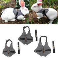 Multipurpose Rabbit Harness Small Pet Leash Chinchillas Vest Clothes Leashes