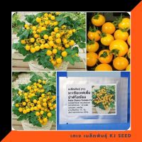 (โปร++) เมล็ดพันธุ์ มะเขือเทศเตี้ย ปาติโอช้อย สีเหลือง (Patio Choice Tomato F1 Seed) บรรจุ 10 เมล็ด คุณภาพดี ส่วนลด ของแท้ 100% ส่วนลด เมล็ดพันธุ์ พันธุ์ข้าว เมล็ดหญ้า เมล็ดข้าวโพด