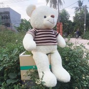 GẤU BÔNG TEDDY CAO CẤP KHỔ VẢI 1M4 DÀI 1M2 HÀNG VNXK