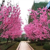 【hot】№┇▽  3 pieces 110cm artificial cherry tree pink branch silk simulation flower wall wedding decoration home decorat