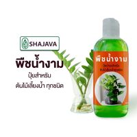 welcome to the store ✵พืชน้ำงาม ปุ๋ยบำรุงสำหรับต้นไม้เลี้ยงน้ำทุกชนิด  ปริมาณ 200 ml ต้นไม้น้ำ บำรุงต้นไม้น้ำ ปุ๋ย♭