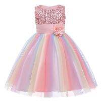 Toddler Baby Girls Formal Dresses Flower Sequins Round Neck Rainbow Mesh Tutu Princess Dress Wedding Party Gown Prom Dress Dresses