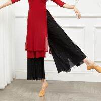 ∏۩ Classical Dance Practice Net Gauze Pants Side Teacher Body Rhyme Yoga Modern Dance Art Test Adult Slit Elegant Wide-Leg Pants Women