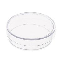 、’】【‘ 10 Pcs. 35Mm X 10Mm Sterile Plastic Petri Dishes With Lid For LB Plate Yeast (Transparent Color)