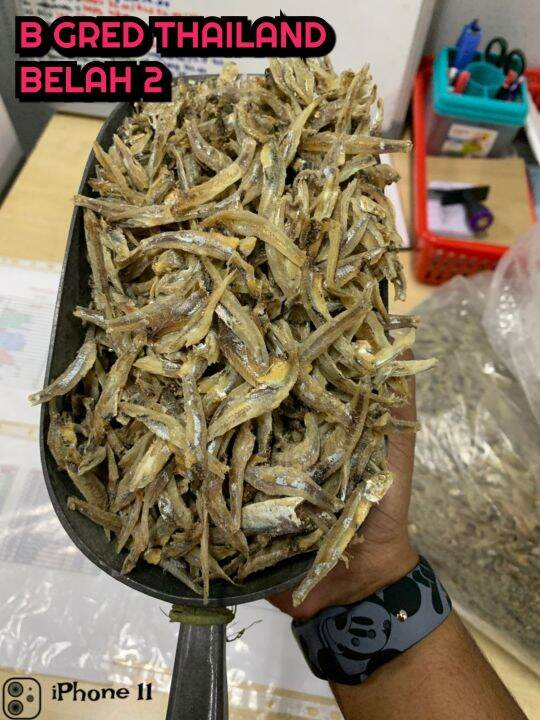 DRIED ANCHOVIES THAILAND Lazada
