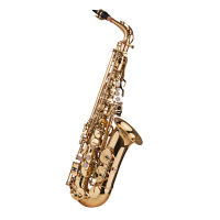 [ammoon]Eb Alto Saxophone Sax Brass Lacquered Gold 802 Key Type Woodwind Instrument with Padded Carry Case Gloves Cleaning Cloth Brush Sax Straps Reeds