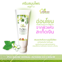 บ้านหมอละออง ครีมสมุนไพร พลูคาว แอ๊ดวานซ์ 100g ฟรีค่าส่ง 30 บาทแรก Plu Kaow Herbal Advanced Cream ครีมพลูคาว PluKaow พร้อมส่ง ได้รับเลขทะเบียนการผลิตตามกฎหมาย สูตรตำรับสมุนไพรพลูคาว เหงือกปลาหมอ ใบน้อยหน่า ว่านหางช้าง