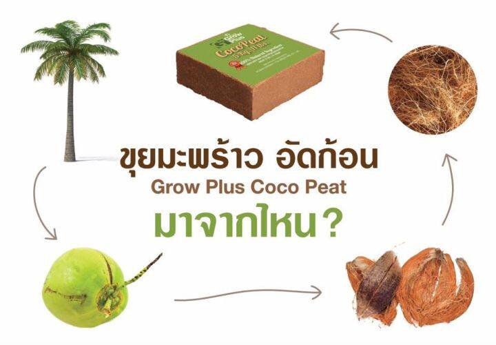 coco-peat-อัดก้อน-ขุยมะพร้าวอัดก้อน-growplus-cocopeat-plus-ขุยมะพร้าวอัด-10kg-ขุยมะพร้าวแห้ง-โคโค่พีช-โค่โค่พีท-100-ลิตร-cocopeat-ขุยมะพร้าว-ขุยมะพร้าวก้อน