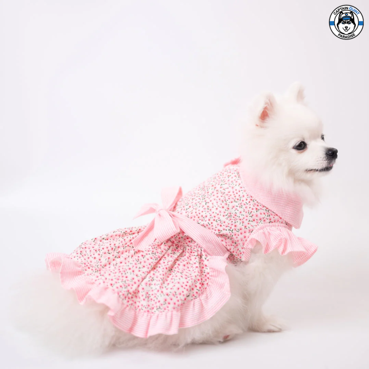 animal-go-round-เสื้อผ้าเครื่องแต่งกาย-สัตว์เลี้ยง-หมา-แมว-สุนัข-รุ่น-baby-bloom-pink