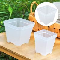 【hot】☾☂  7cm 10cm Pots Planters grow Plastic Small Pot Tray Garden tools Transplant Flowerpot