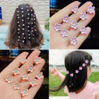 【CW】 10Pcs/set Kid Small Buckle Hair Baby Hairpins for Children Fashion Pins Claws Accessories