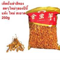 เห็ดถั่งเช่าสีทอง #พร้อมส่ง#ขนาด250g สด สะอาด แห้ง บำรุงร่างกาย อร่อยและมีประโยชน์ สามารถนำมาทำเป็นซุป ผัด หรือจะชงน้ำดื่มก็ได้ 虫草花