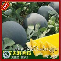 10 เมล็ด แตงโมไร้เมล็ดฟูชุนสีเหลือง F1 - Fushun Yellow Meat Seedless เมล็ดแตงโมเหลือง เมล็ดแตงโม เมล็ดพันธุ์แตงโมเหลือง แตงโมเหลือง แตงโม