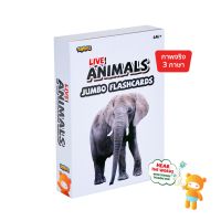 Toybies บัตรคำยักษ์ Animals  มีเสียงพูด เมื่อใช้ร่วมกับปากกาพูดได้ Toybies หนา ฉีกไม่ขาด พิมพ์ด้วยหมึกถั่วเหลือง ปลอดภัย