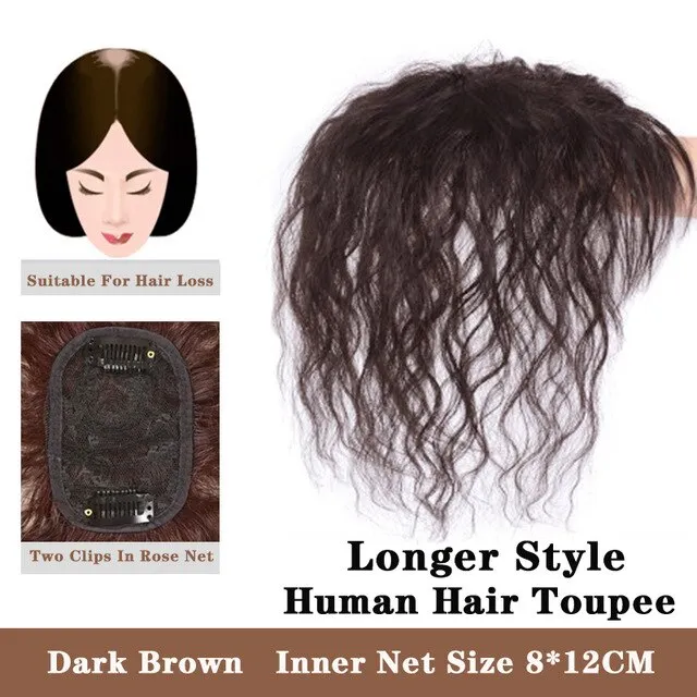 Lupu Black Brown Toupee Topper Hairpiece Synthetic Heat Resistant Clip In Curly Bangs Hair Extensions Fake Hair For Women | Lazada PH Lupu Black Brown Toupee Topper Hairpiece Synthetic Heat Resistant Clip In Curly Bangs Hair Extensions Fake Hair For Women | Lazada PH