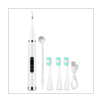 Dental Scaler for Teeth Tartar Stain Tooth Calculus Remover Electric Sonic Teeth Plaque Dental Stone