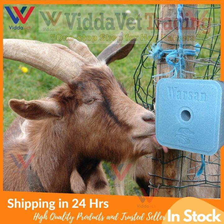Mineral block Imported Warsan Blue 4.5 kgs mineral salt lick goat