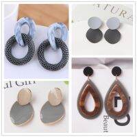 【hot】♨  Gray Color Dangle Earrings for Gradient Resin Statement Drop European American Ear Accessories