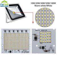 FORWDG 1ชิ้นชิปหลอดไฟ LED ขับสมาร์ทไอซีอินพุต10W 20W 30W 50W 100W 220V SMD2835ลูกปัด