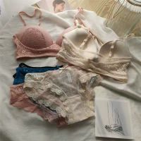 ชุดชั้นใน Bra+กางเกงชั้นในเซ็กซี่*พร้อมส่งที่ไทย* lace bra set 008