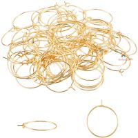 100 pc of 20 mm Hypoallergenic Stainless Steel Hoop Earrings Gold Ear Wine Rng Accessories 0.7 mm Needle Earrings Hoop Earrings Making