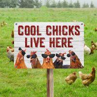 1pc Vintage Metal Tin Cool Chicks Live Here Information Signs Funny Tin Horizontal Sign Chicken Yard Hen House Decor Painting