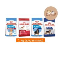 HOG อาหารสุนัข Royal Canin Medium/Maxi แบ่งขาย 1kg สำหรับสุนัขพันธุ์กลางและพันธุ์ใหญ่ อาหารหมา  สำหรับสุนัข