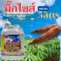 มิ๊กไซส์ 5ลิตร ธาตุอาหารเสริมสูตรเข้มข้น เพิ่มขนาดหัว หัวใหญ่ น้ำหนักมาก ลงหัวไว เปอร์เซ็นต์แป้งสูง