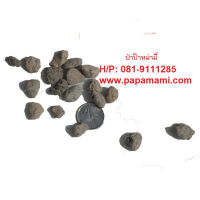 (1ถุง) หินภูเขาไฟ อินโดนีเซีย เบอร์ 02 (5-8มม.) บรรจุ 1กก. Pumice Stone หินพัมมิส หินพูมิส ใช้ผสมดินปลูก โรยหน้า