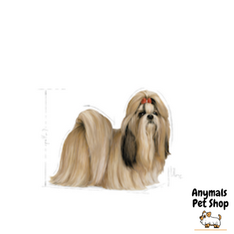 royal-canin-shih-tzu-adlut-อาหารสุนัข-สุนัขชิสุ-ขนาด-1-5-kg