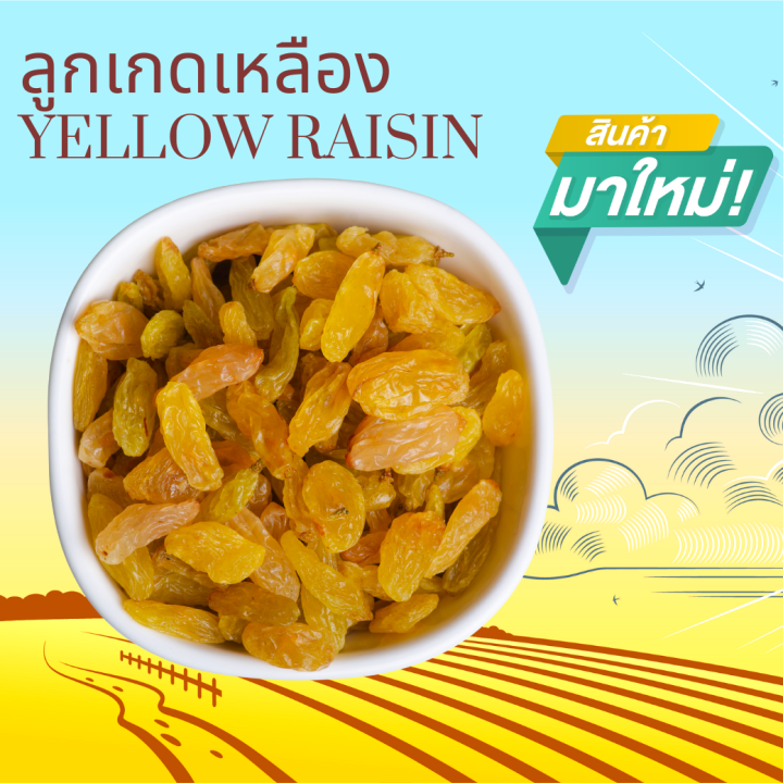 ลูกเกดเหลือง 500 กรัม Yellow Raisin 500 g