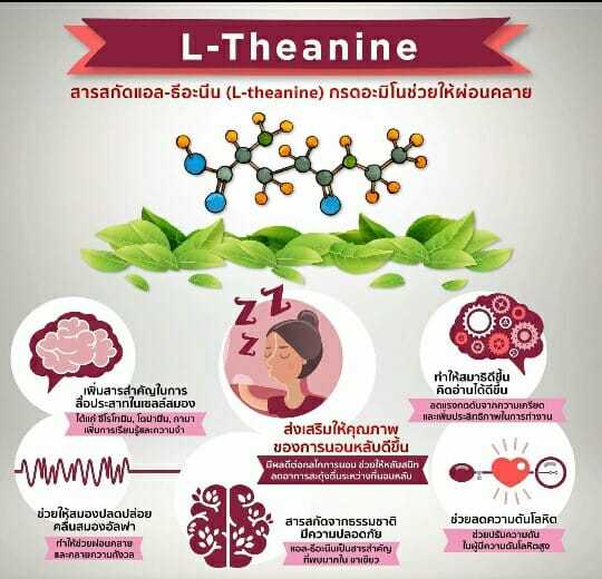 อาหารเสริม-ลดความเครียด-ช่วยการนอนหลับ-ผ่อนคลาย-แอล-ธีอะนิน-30-เม็ด