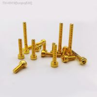 10pcs DIN912 M2 M2.5 M3 M4 M5 Plating Titanium Gold Allen Hexagon Hex Socket Cap Head Screw Bolt High Tensile Grade 12.9