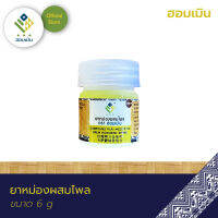 ยาหม่องผสมไพล ตรา ฮอมเมิน (Compound Plai Medicated Balm Hommern Brand) ?บาล์มแก้ปวดเมื่อย เคล็ด ขัด ยอก (ขนาด 6 กรัม)