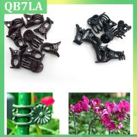 Plant Support Holder Clips For Orchid Vine Support Vegetables Flower Tied Bundle Branch Clamping Garden Tool QB7LA Shop