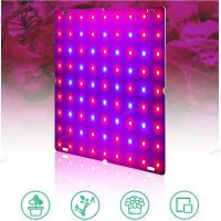 5 types LED Plant Grow Light Phyto Lamp Kit  Indoor Growing Tent Full Spectrum Hydroponics For Veg Flower 17TH