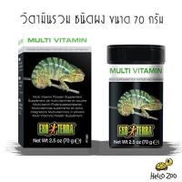 วิตามินรวมผง Exo Terra Multi Vitamin Powder กระปุกกลาง 70 กรัม [EX23]