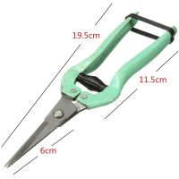 pruner Shear pruning tool Plant fruit picking flower leaf trimmer Garden