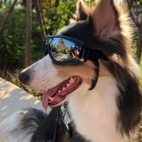 ZZOOI Adjustable Dog Glasses Goggles Sunglasses Anti-UV Apply To Medium Large Dogs Pet Eyewear Waterproof Windproof Pet Accessories