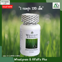 Wheatgrass &amp; Alfalfa Plus ? ผลิตภัณฑ์อาหารเสริม ผักอัดเม็ดแอมสตรอง เม็ดสีดำ ช่วยในการบำรุงสายตา เสริมวิตามินให้ร่างกาย อาหารเพื่อคนรักสุขภาพ