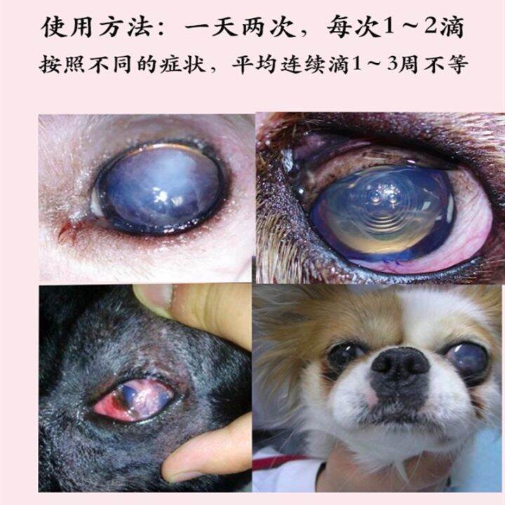 German pet cataract eye drops dogs and cats corneal inflammation