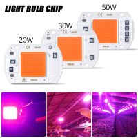 SFAUQ393402ชิปหลอดไฟสปอตไลท์ไฟ LED ลูกปัดโคมไฟโคมไฟแบบแท่ง20W 30W 50W