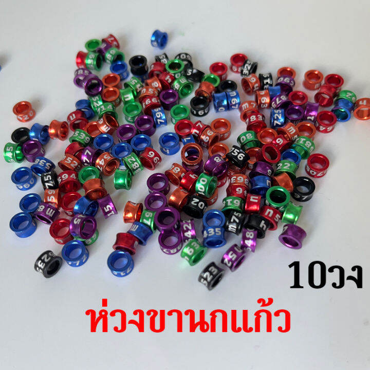 ลดราคา-คละสี-ห่วงขานกแก้ว-ห่วงขานก-นกกรงหัวจุก-10วง-3-8มม-ทำจากอลูมิดนียมน้ำหนักเบา-พร้อมส่งในไทย